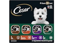Cesar Wet Dog Food