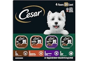 Cesar Wet Dog Food