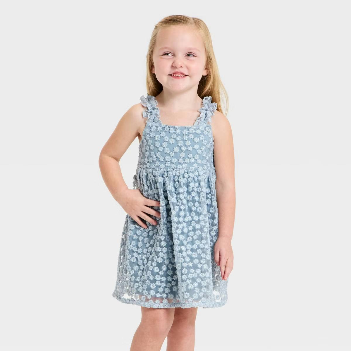 Cat & Jack Toddler Embroidered Dress
