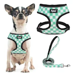 Soft Mesh Dog Harness and Leash Set
