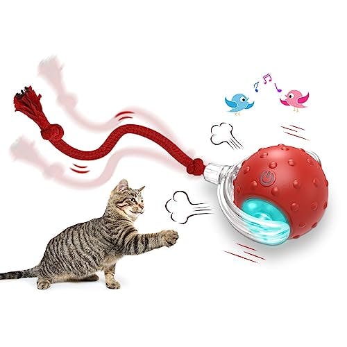 Interactive Cat Toy Ball