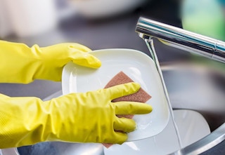 sponge used on plate