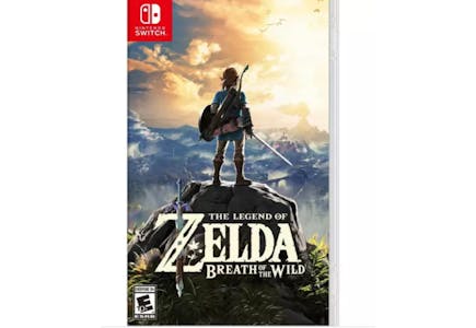 Nintendo Switch Zelda Game