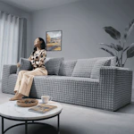 Living Room Sofa