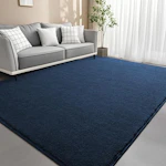 Area Rug