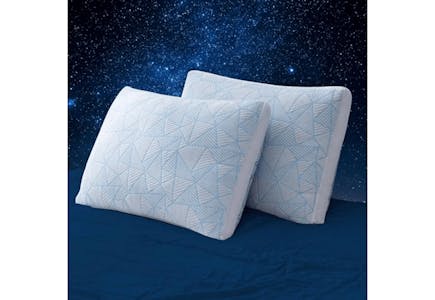 Shredded Memory Foam Pillow Set