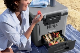 Ninja FrostVault 30-Quart Cooler, Now Down to $229.99 on Amazon card image