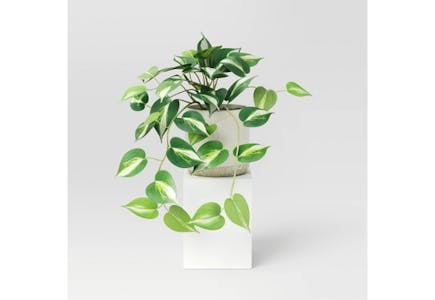 Threshold Potted Faux Marble Pothos Plant