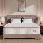 Queen Mattress