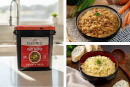 walmart readywise food bucket