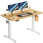 Electric Standing Desk