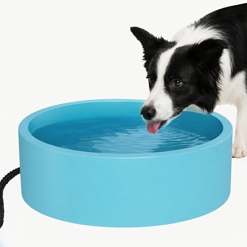Heated Pet Water Bowl