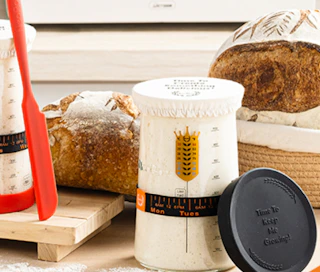 a sourdough starter kit