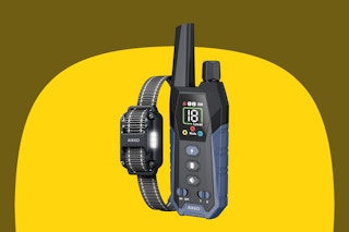 Dog Collar B0FXM32ZN2