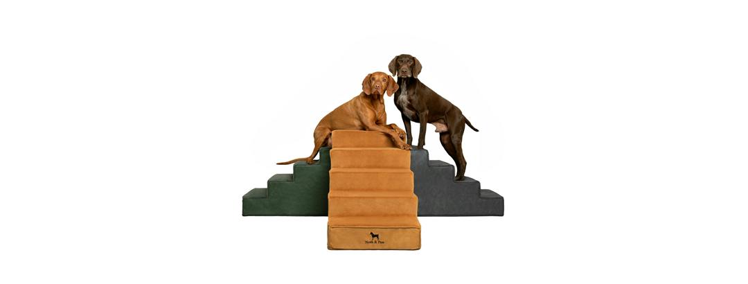 Noah & Paw Dog Stairs