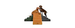 Noah & Paw Dog Stairs