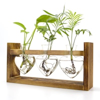 Glass Heart Propagation Station