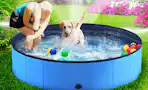 Dog Pool AliExpress