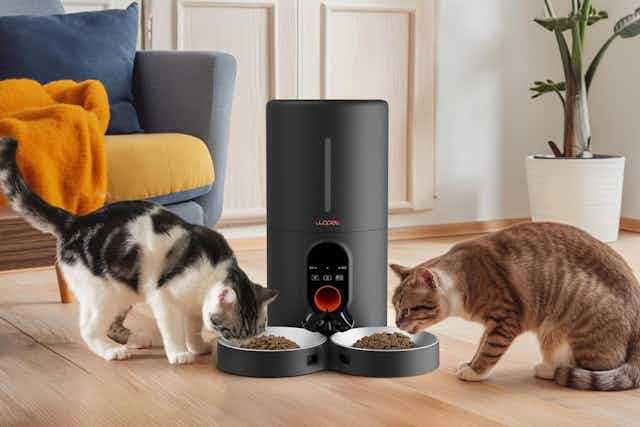 Automatic Cat Feeder, Only $55 for Amazon Pet Day (Reg. $80) card image