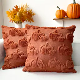 Fall Decorative Pillow Covers