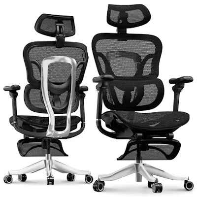FLEXISPOT ErgoX Max Office Chair