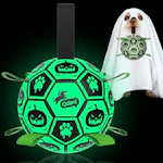 Glow in the Dark Dog Ball