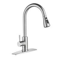 Kitchen Sprayer Faucet