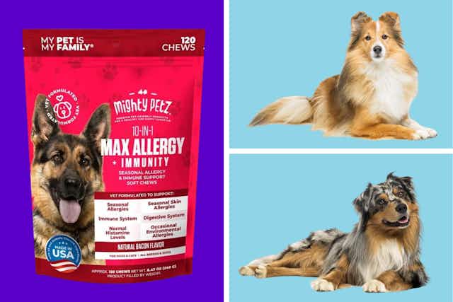 Allergy Relief Chews for Dogs, as Low as $18 on Amazon card image