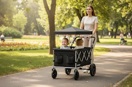 walmart all terrain stroller wagon