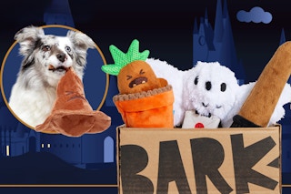 barkbox-harry-potter-1