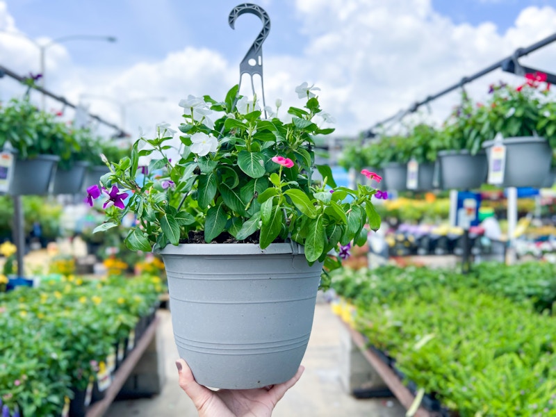 lowes-hanging-flower-baskets-06