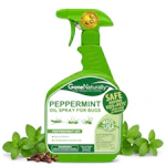 Peppermint Oil Bug Spray