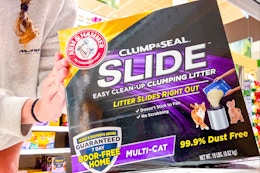 publix-arm-and-hammer-cat-litter
