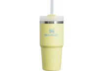 Stanley Quencher Tumbler