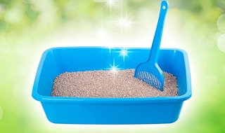 amazon cat litter deodorizer 1663851531 1663851531