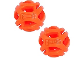 Chuckit Ball Dog Toys