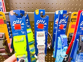petco-reflective-dog-collars-1