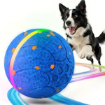 Interactive Dog Toy