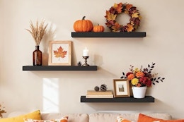 Floating shelves hung on wall.