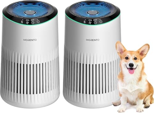 Air Purifier 2-Pack