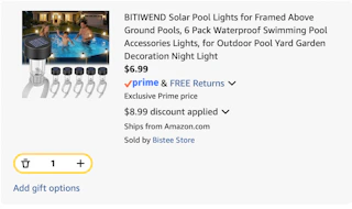 pool lights Amazon receipt