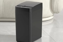 Score 2 Motion Sensor Trash Cans for $26 at Walmart card image