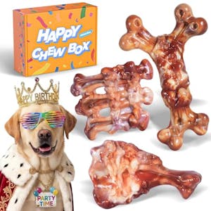Aggressive Chewer Dog Toys