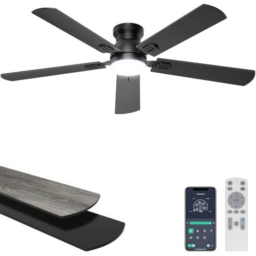 Ceiling Fan with Lights