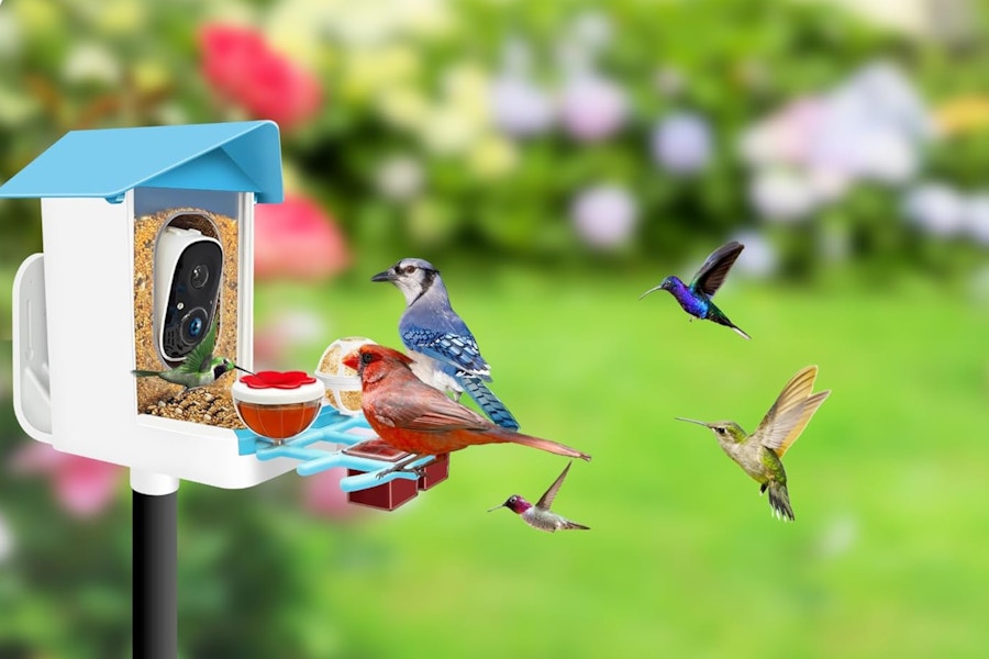 Smart Bird Feeder with Camera