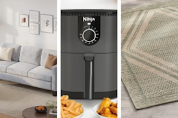 gray couch, ninja air fryer, and better homes and gardens rug