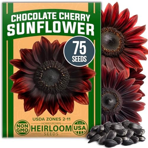 Chocolate Cherry Sunflower Seeds