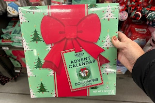 person holding a dog chews advent calendar