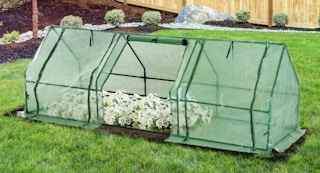 wayfair 10822 w x 3622 d mini greenhouse featured image 1681841800 1681841800