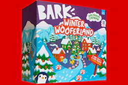 bark advent calendar stock image collage